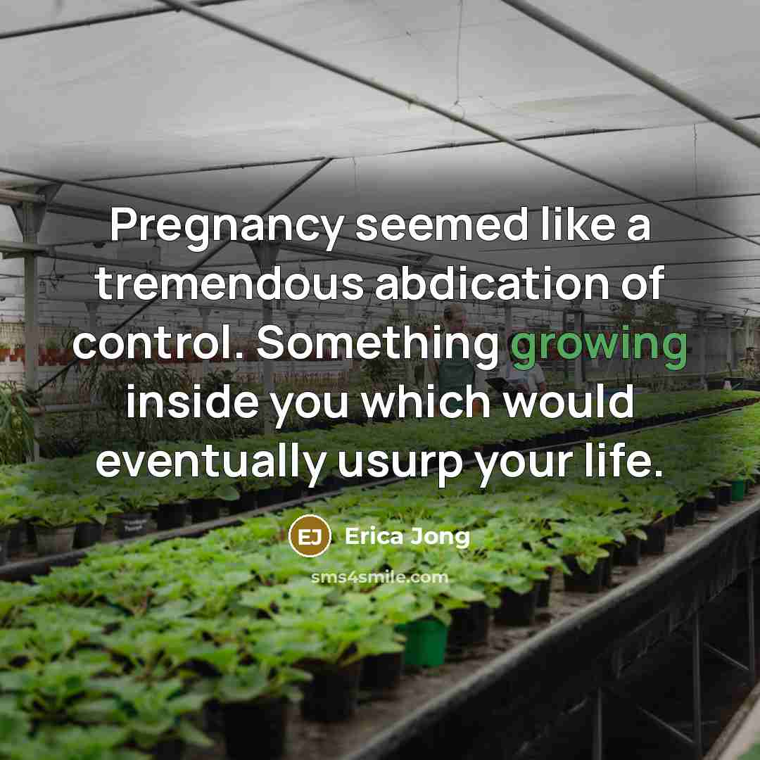 “Pregnancy seemed like a tremendous abdication of control. Something growing inside you which would eventually usurp your life.” quote by Erica Jong