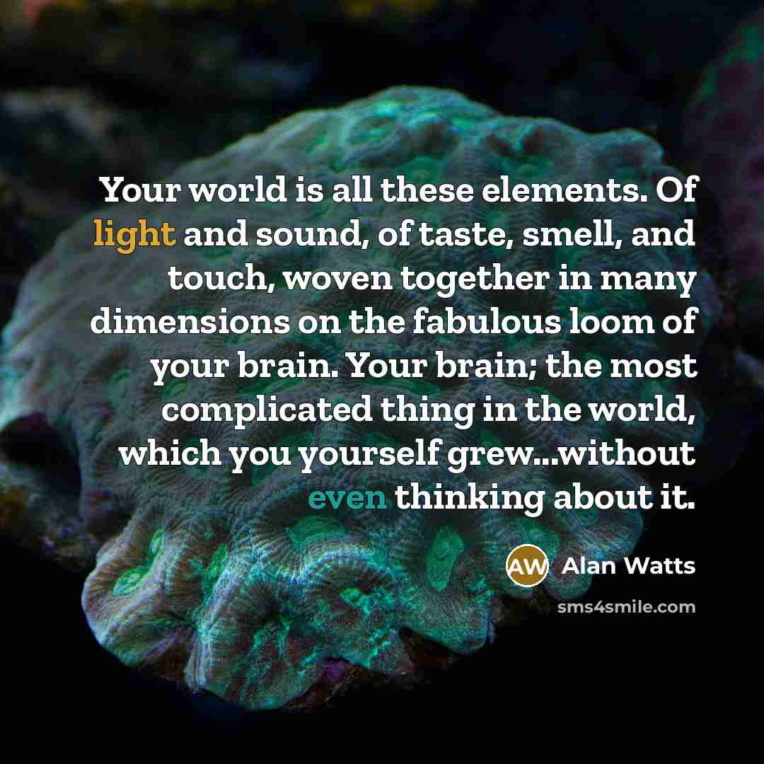“Your world is all these elements. Of light and sound, of taste, smell, and touch, woven together in many dimensions on the fabulous loom of your brain. Your brain; the most complicated thing in the world, which you yourself grew...without even thinking about it.” quote by Alan Watts