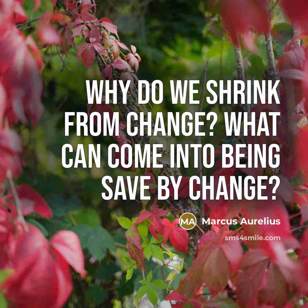 “Why do we shrink from change? What can come into being save by change?” quote by Marcus Aurelius