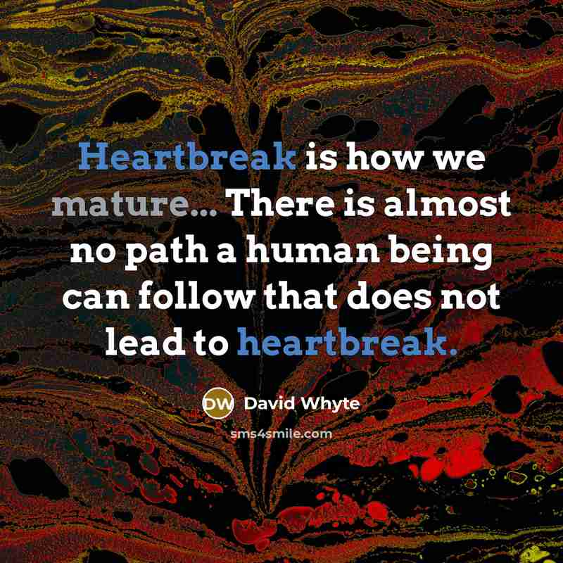 “Heartbreak is how we mature... There is almost no path a human being can follow that does not lead to heartbreak.” quote by David Whyte