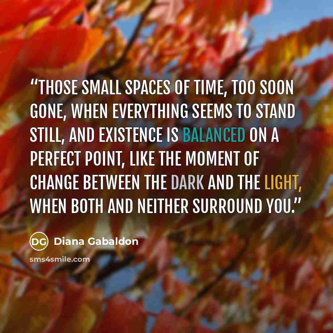 “Those small spaces of time, too soon gone, when everything seems to stand still, and existence is balanced on a perfect point, like the moment of change between the dark and the light, when both and neither surround you.” quote by Diana Gabaldon