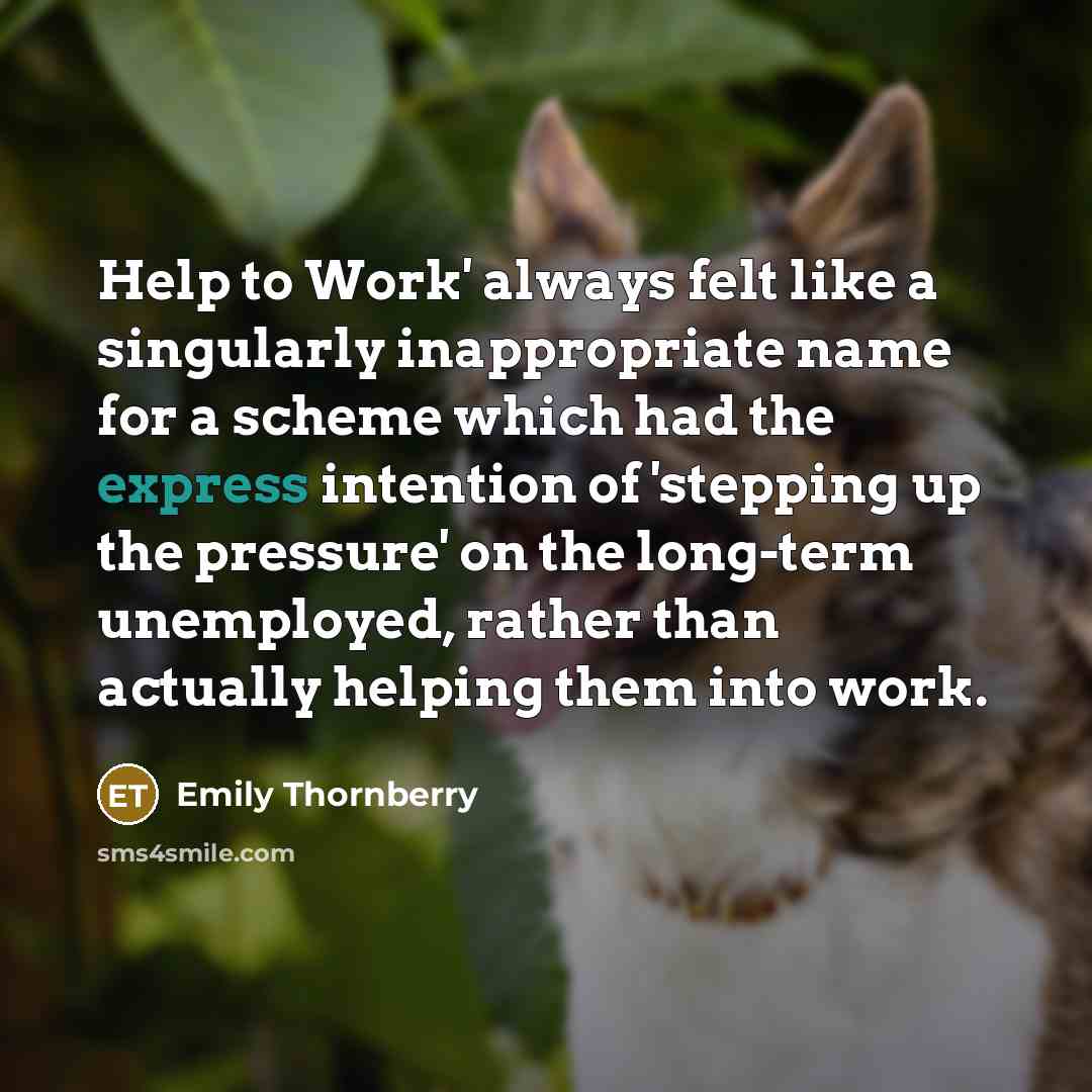 “Help to Work' always felt like a singularly inappropriate name for a scheme which had the express intention of 'stepping up the pressure' on the long-term unemployed, rather than actually helping them into work.” quote by Emily Thornberry