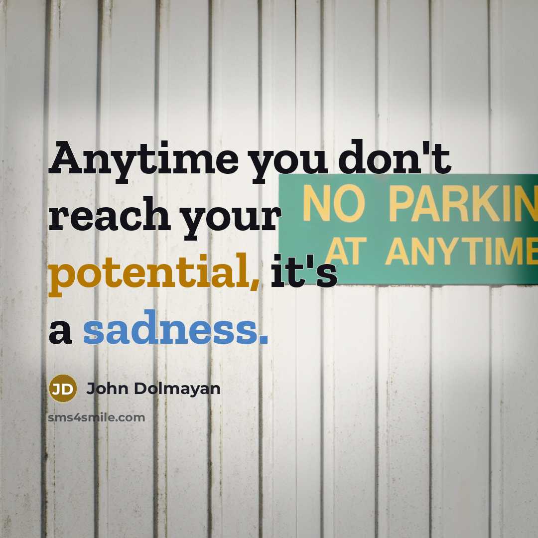 “Anytime you don't reach your potential, it's a sadness.” quote by John Dolmayan