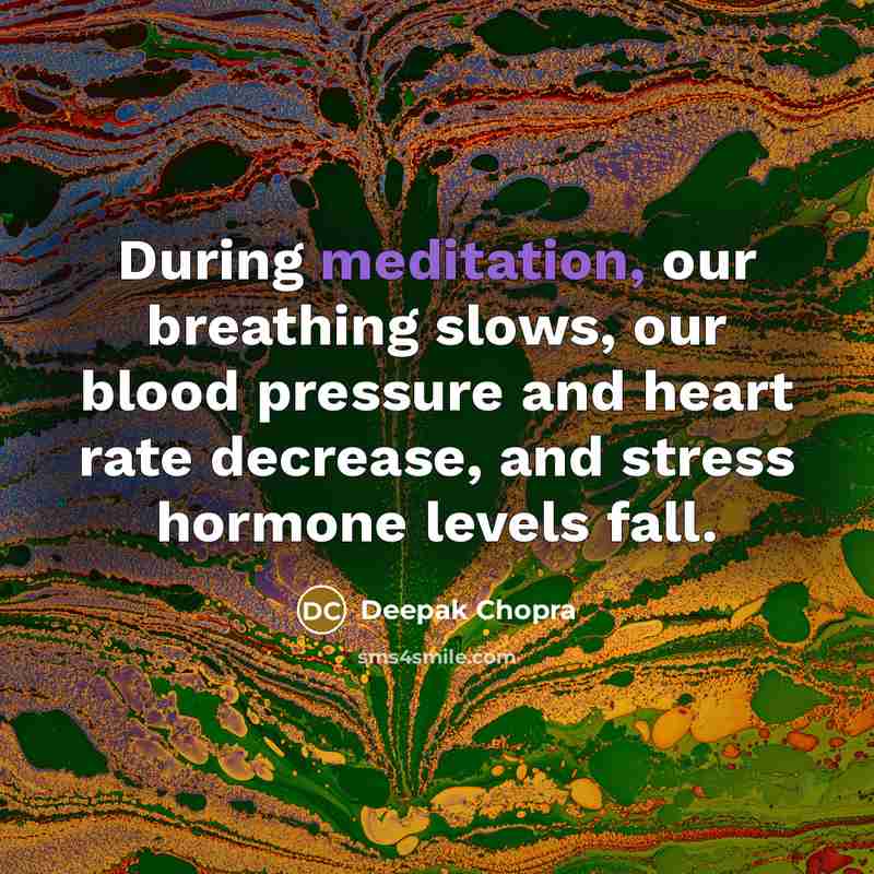 “During meditation, our breathing slows, our blood pressure and heart rate decrease, and stress hormone levels fall.” quote by Deepak Chopra
