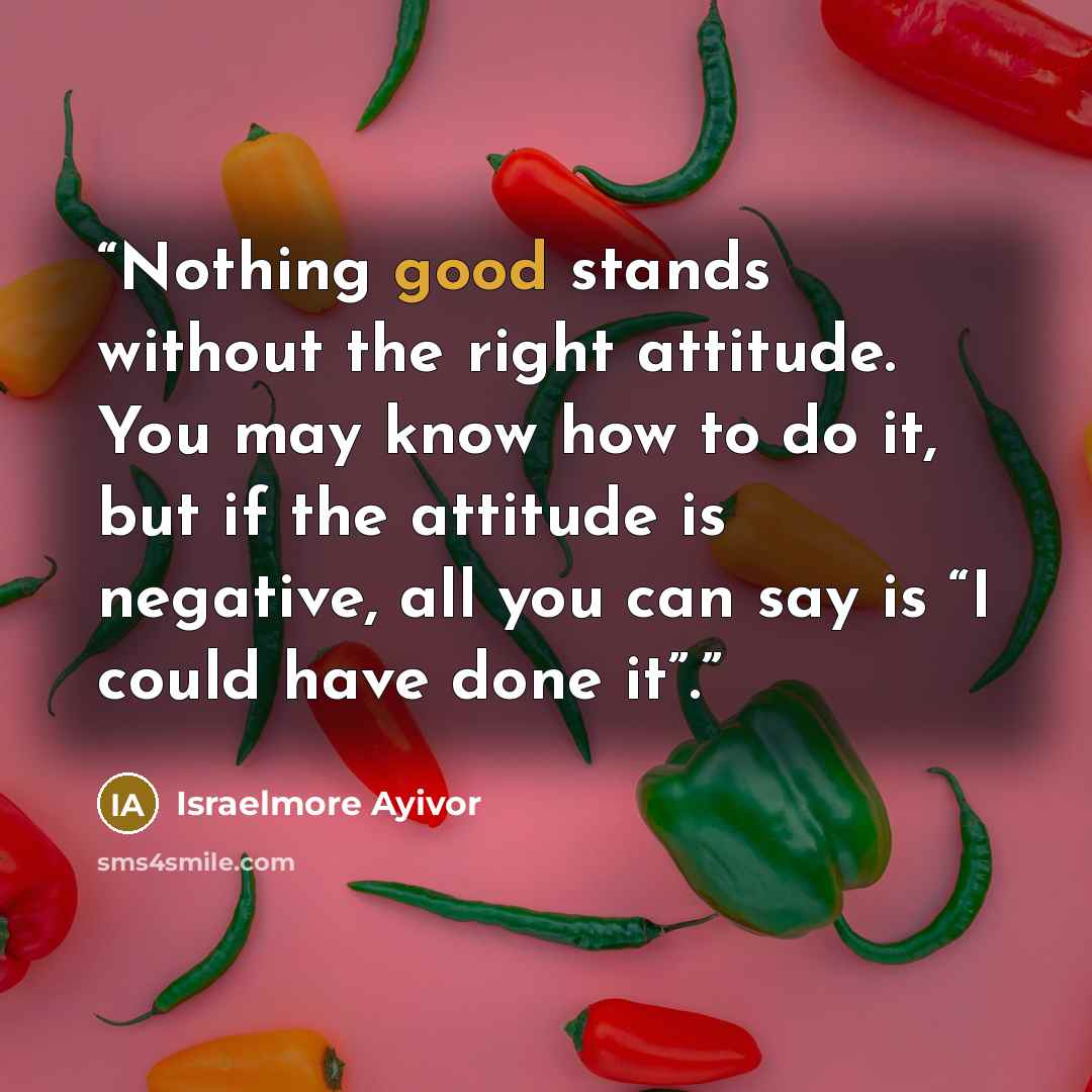 “Nothing good stands without the right attitude. You may know how to do it, but if the attitude is negative, all you can say is “I could have done it”.” quote by Israelmore Ayivor