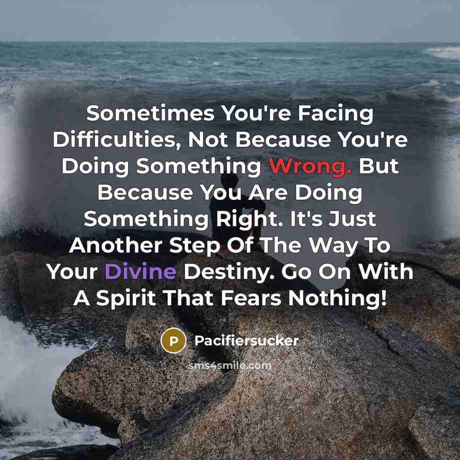 “Sometimes You're Facing Difficulties, Not Because You're Doing Something Wrong. But Because You Are Doing Something Right. It's Just Another Step Of The Way To Your Divine Destiny. Go On With A Spirit That Fears Nothing!” quote by Pacifiersucker