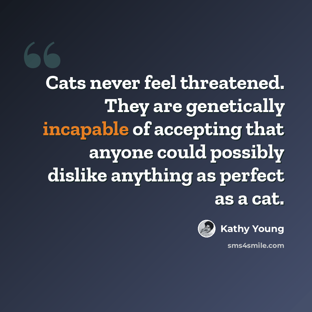 “Cats never feel threatened. They are genetically incapable of accepting that anyone could possibly dislike anything as perfect as a cat.” quote by Kathy Young