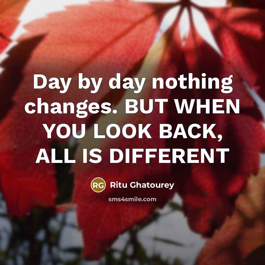 “Day by day nothing changes. BUT WHEN YOU LOOK BACK, ALL IS DIFFERENT” quote by Ritu Ghatourey