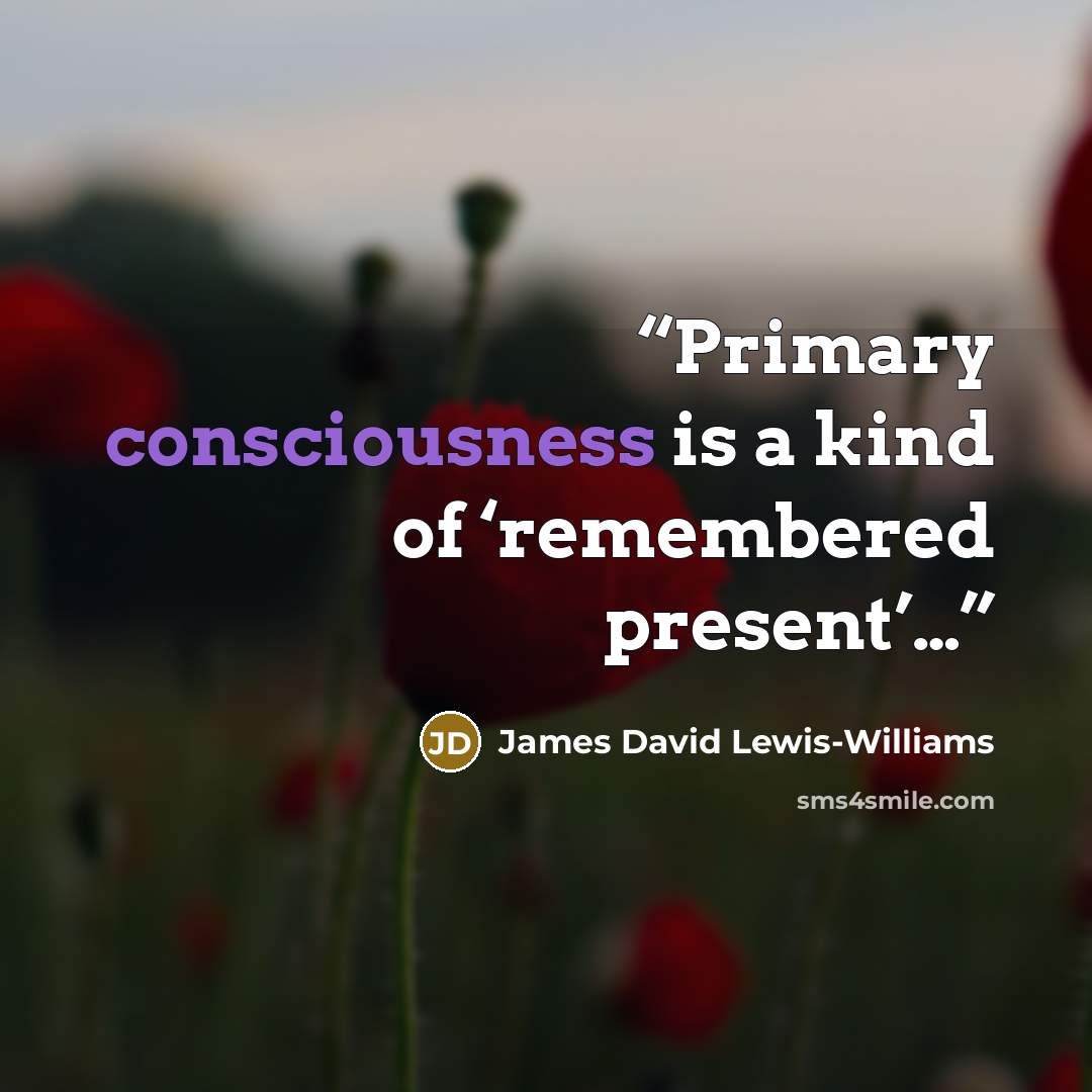 “Primary consciousness is a kind of ‘remembered present’…” quote by James David Lewis-Williams