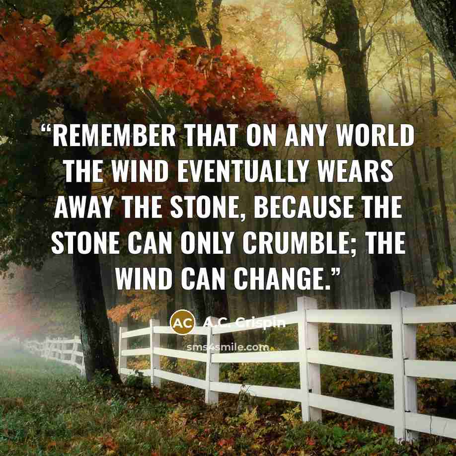 “Remember that on any world the wind eventually wears away the stone, because the stone can only crumble; the wind can change.” quote by A.C. Crispin