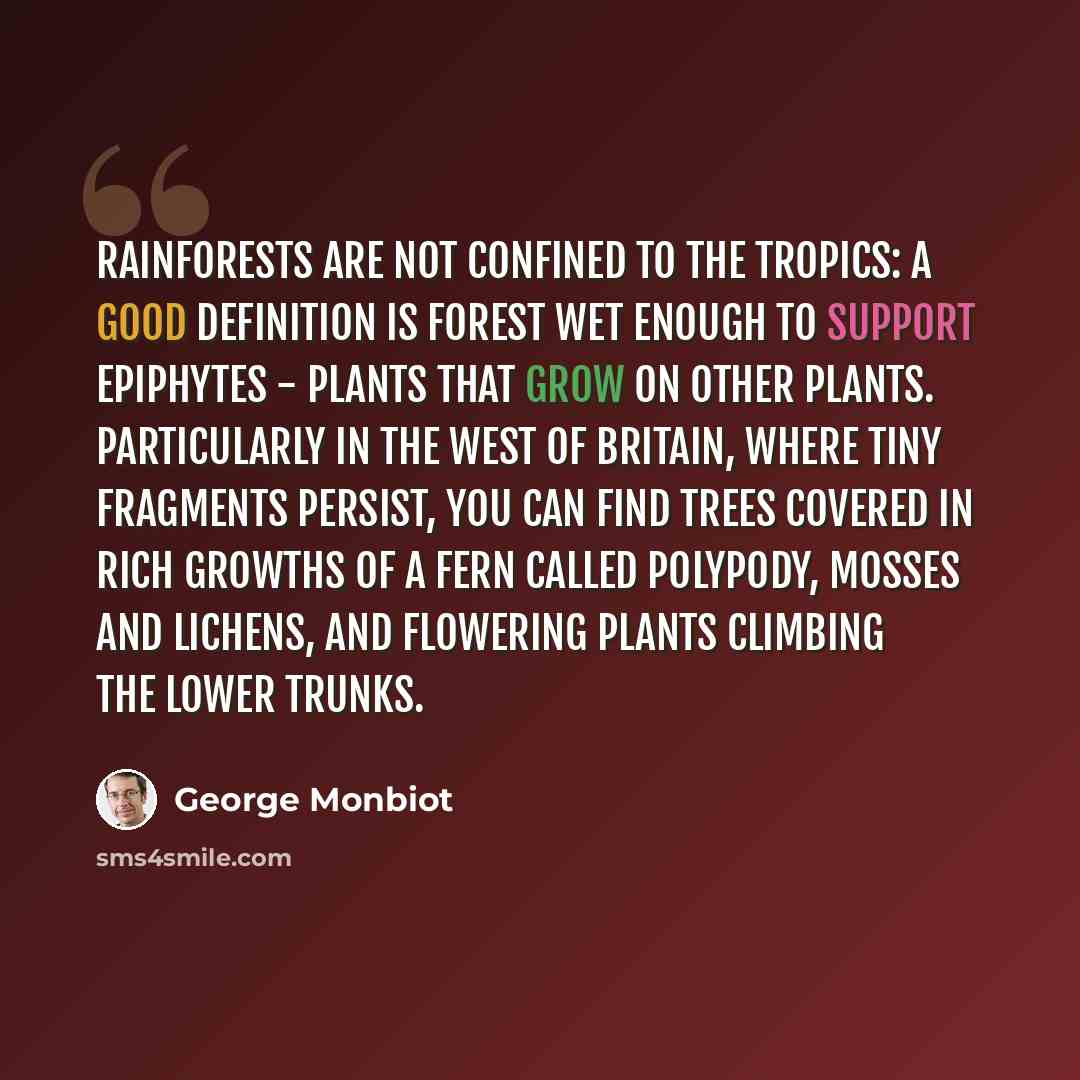 “Rainforests are not confined to the tropics: a good definition is forest wet enough to support epiphytes - plants that grow on other plants. Particularly in the west of Britain, where tiny fragments persist, you can find trees covered in rich growths of a fern called polypody, mosses and lichens…” quote by George Monbiot