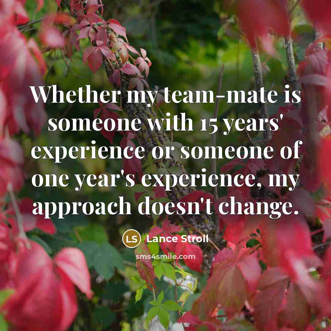 “Whether my team-mate is someone with 15 years' experience or someone of one year's experience, my approach doesn't change.” quote by Lance Stroll