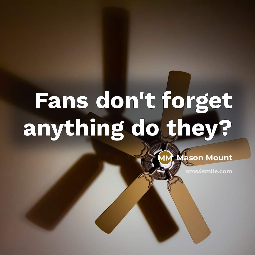 “Fans don't forget anything do they?” quote by Mason Mount