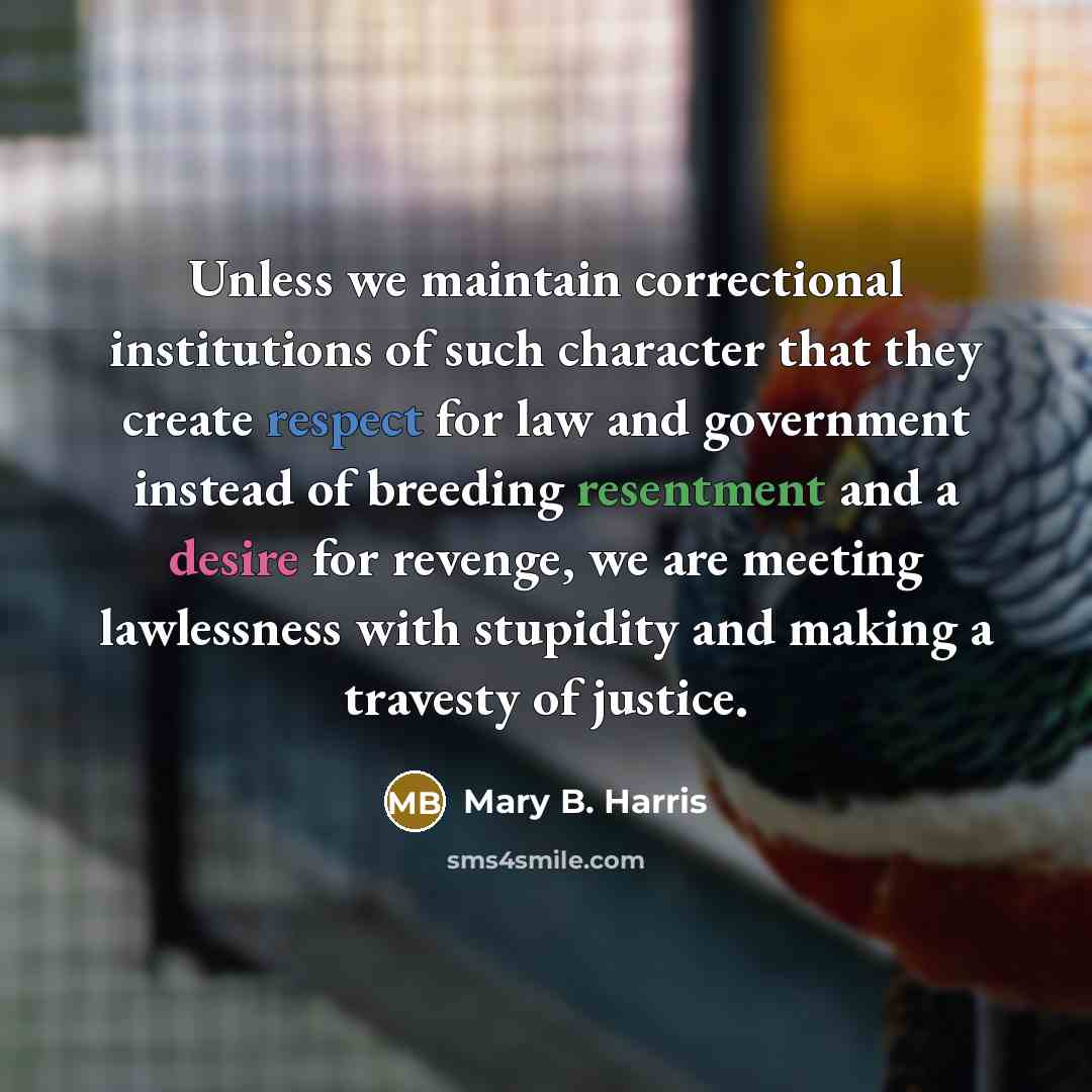 “Unless we maintain correctional institutions of such character that they create respect for law and government instead of breeding resentment and a desire for revenge, we are meeting lawlessness with stupidity and making a travesty of justice.” quote by Mary B. Harris