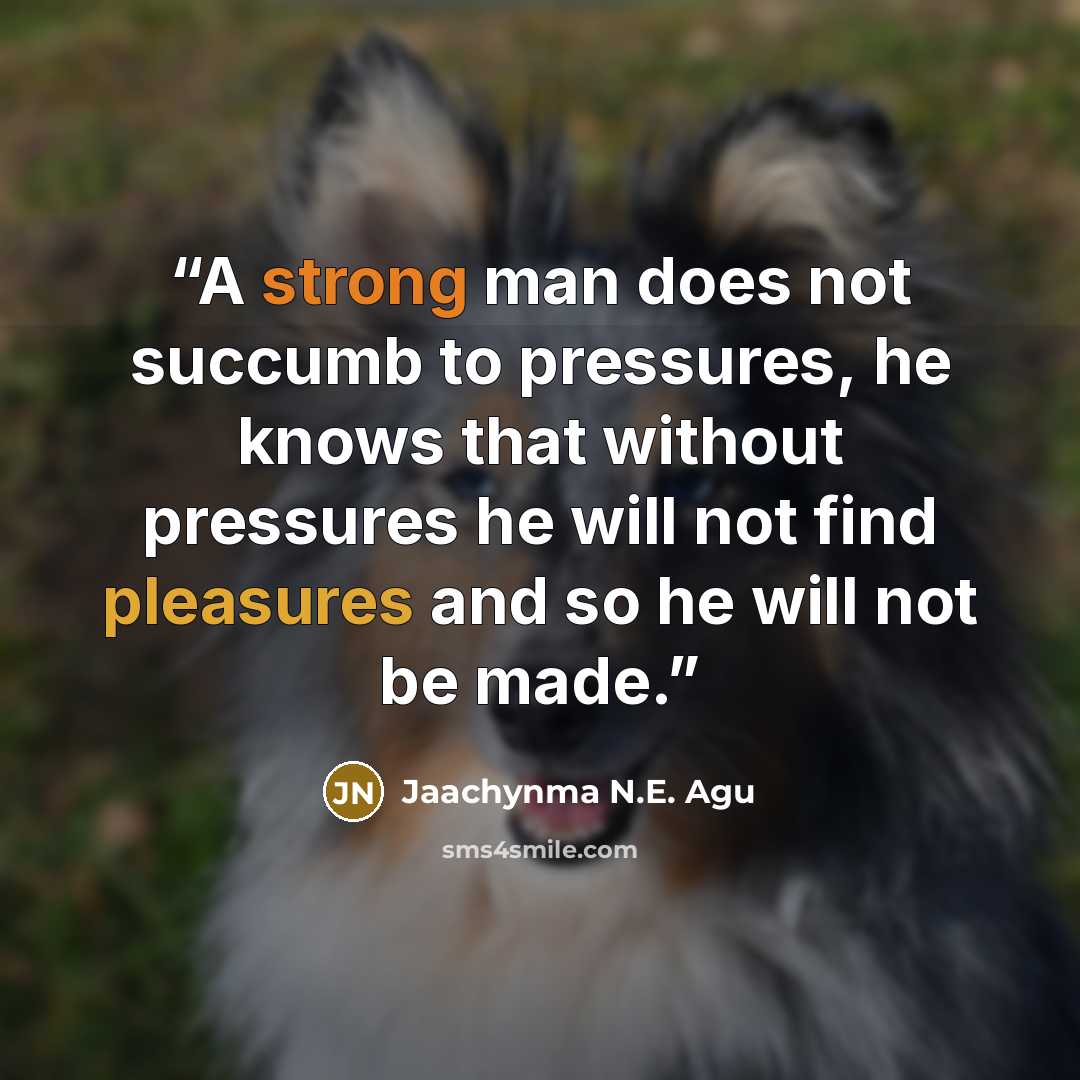 “A strong man does not succumb to pressures, he knows that without pressures he will not find pleasures and so he will not be made.” quote by Jaachynma N.E. Agu