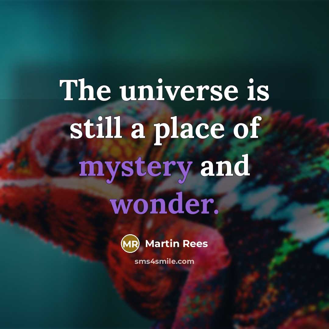 “The universe is still a place of mystery and wonder.” quote by Martin Rees
