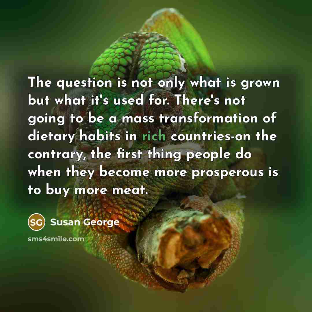 “The question is not only what is grown but what it's used for. There's not going to be a mass transformation of dietary habits in rich countries-on the contrary, the first thing people do when they become more prosperous is to buy more meat.” quote by Susan George
