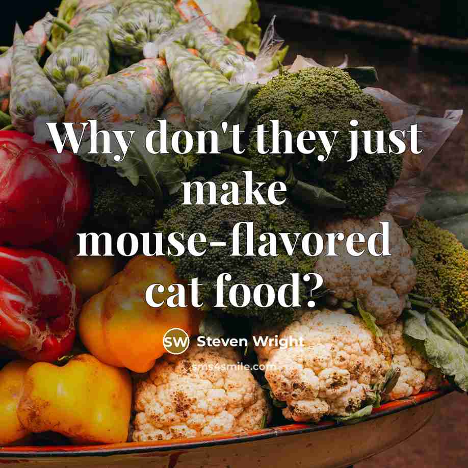 “Why don't they just make mouse-flavored cat food?” quote by Steven Wright