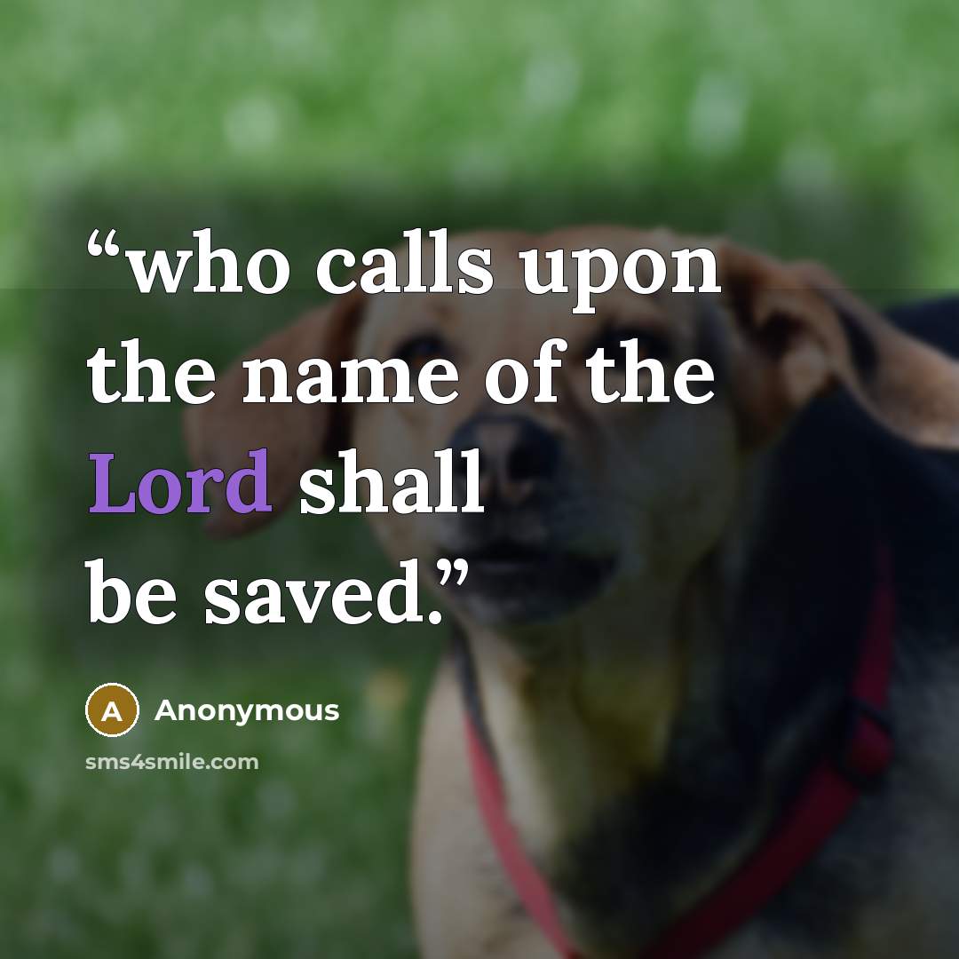 “who calls upon the name of the Lord shall be saved.” quote by Anonymous