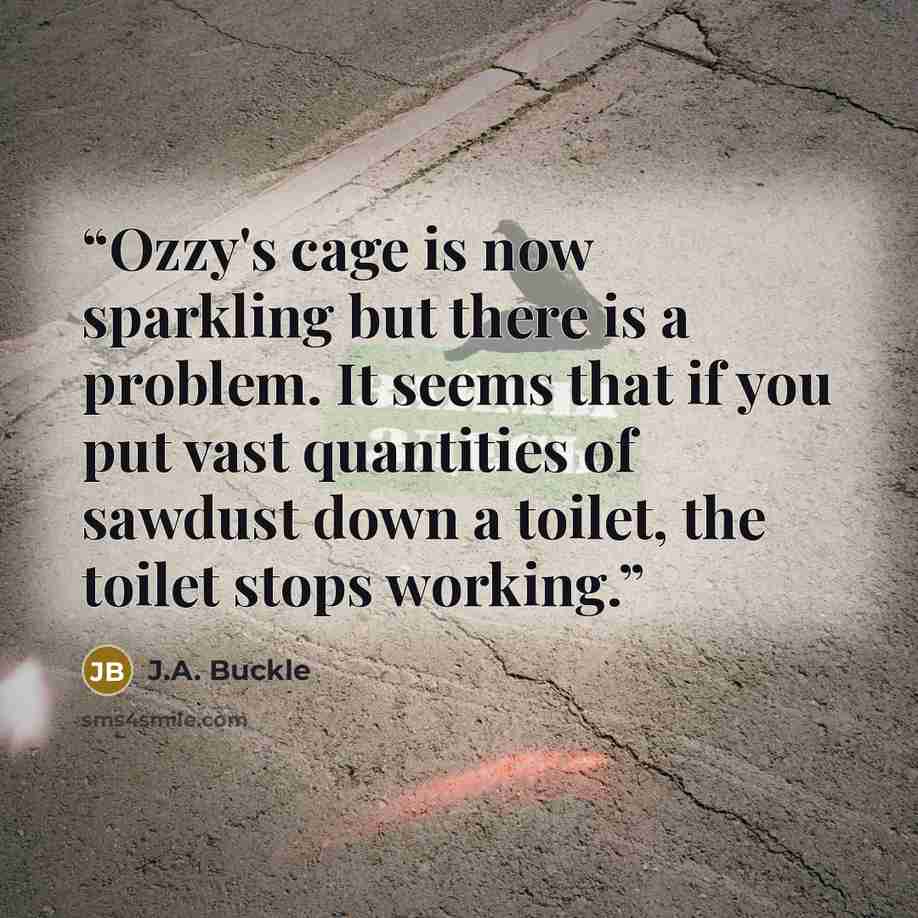 “Ozzy's cage is now sparkling but there is a problem. It seems that if you put vast quantities of sawdust down a toilet, the toilet stops working.” quote by J.A. Buckle