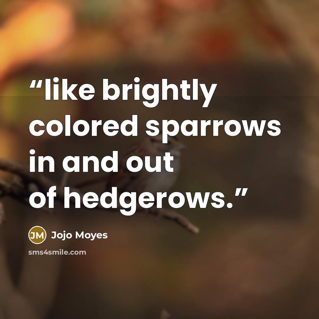 “like brightly colored sparrows in and out of hedgerows.” quote by Jojo Moyes
