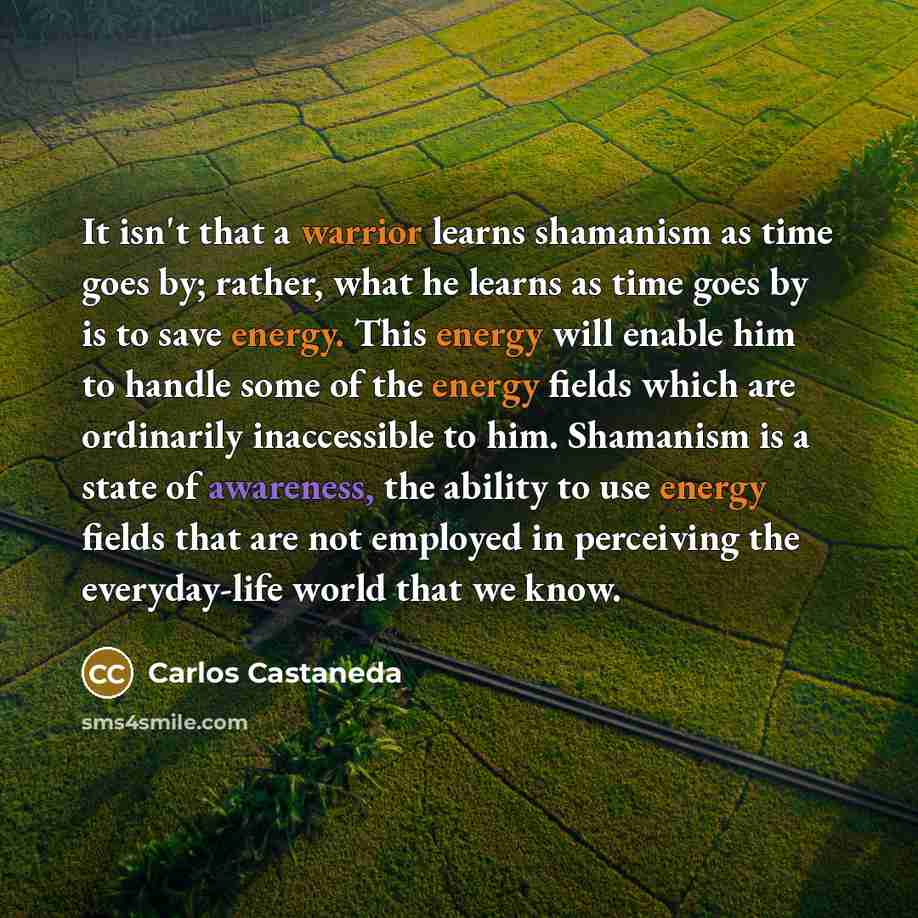 “It isn't that a warrior learns shamanism as time goes by; rather, what he learns as time goes by is to save energy. This energy will enable him to handle some of the energy fields which are ordinarily inaccessible to him. Shamanism is a state of awareness, the ability to use energy fields that are…” quote by Carlos Castaneda