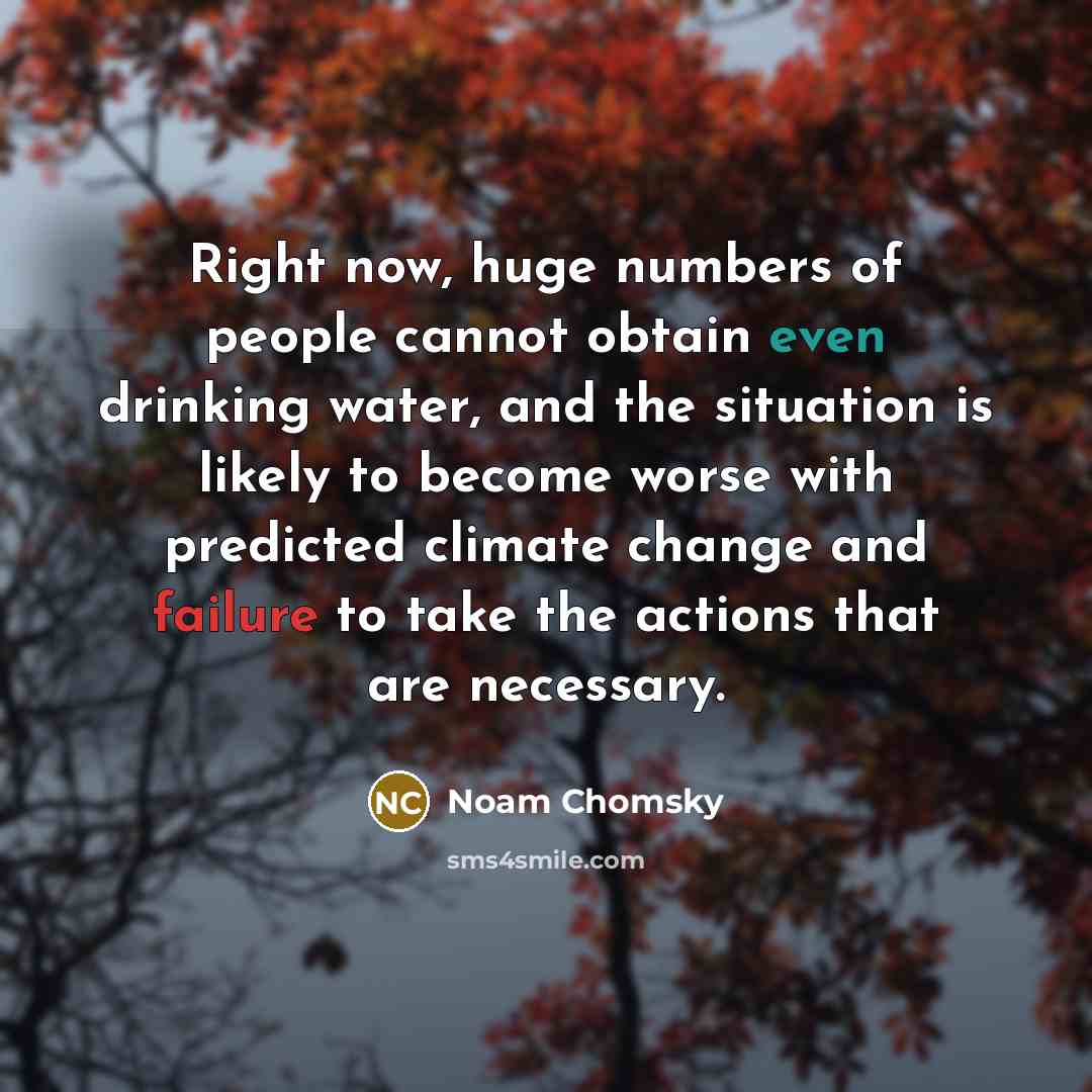 “Right now, huge numbers of people cannot obtain even drinking water, and the situation is likely to become worse with predicted climate change and failure to take the actions that are necessary.” quote by Noam Chomsky