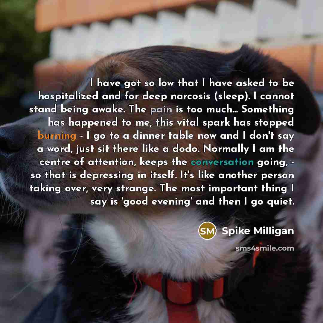 “I have got so low that I have asked to be hospitalized and for deep narcosis (sleep). I cannot stand being awake. The pain is too much... Something has happened to me, this vital spark has stopped burning - I go to a dinner table now and I don't say a word, just sit there like a dodo. Normally I…” quote by Spike Milligan