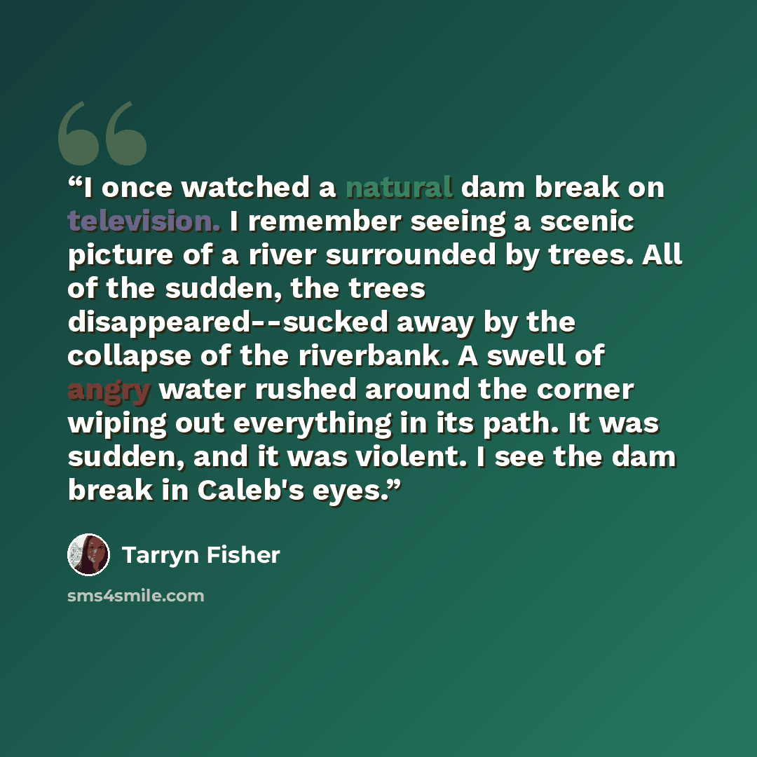 “I once watched a natural dam break on television. I remember seeing a scenic picture of a river surrounded by trees. All of the sudden, the trees disappeared--sucked away by the collapse of the riverbank. A swell of angry water rushed around the corner wiping out everything in its path. It was…” quote by Tarryn Fisher