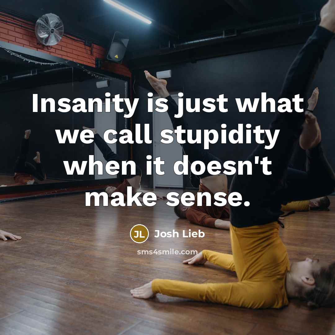 “Insanity is just what we call stupidity when it doesn't make sense.” quote by Josh Lieb