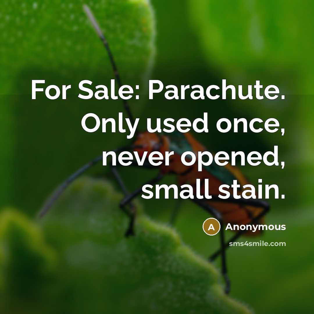 “For Sale: Parachute. Only used once, never opened, small stain.” quote by Anonymous
