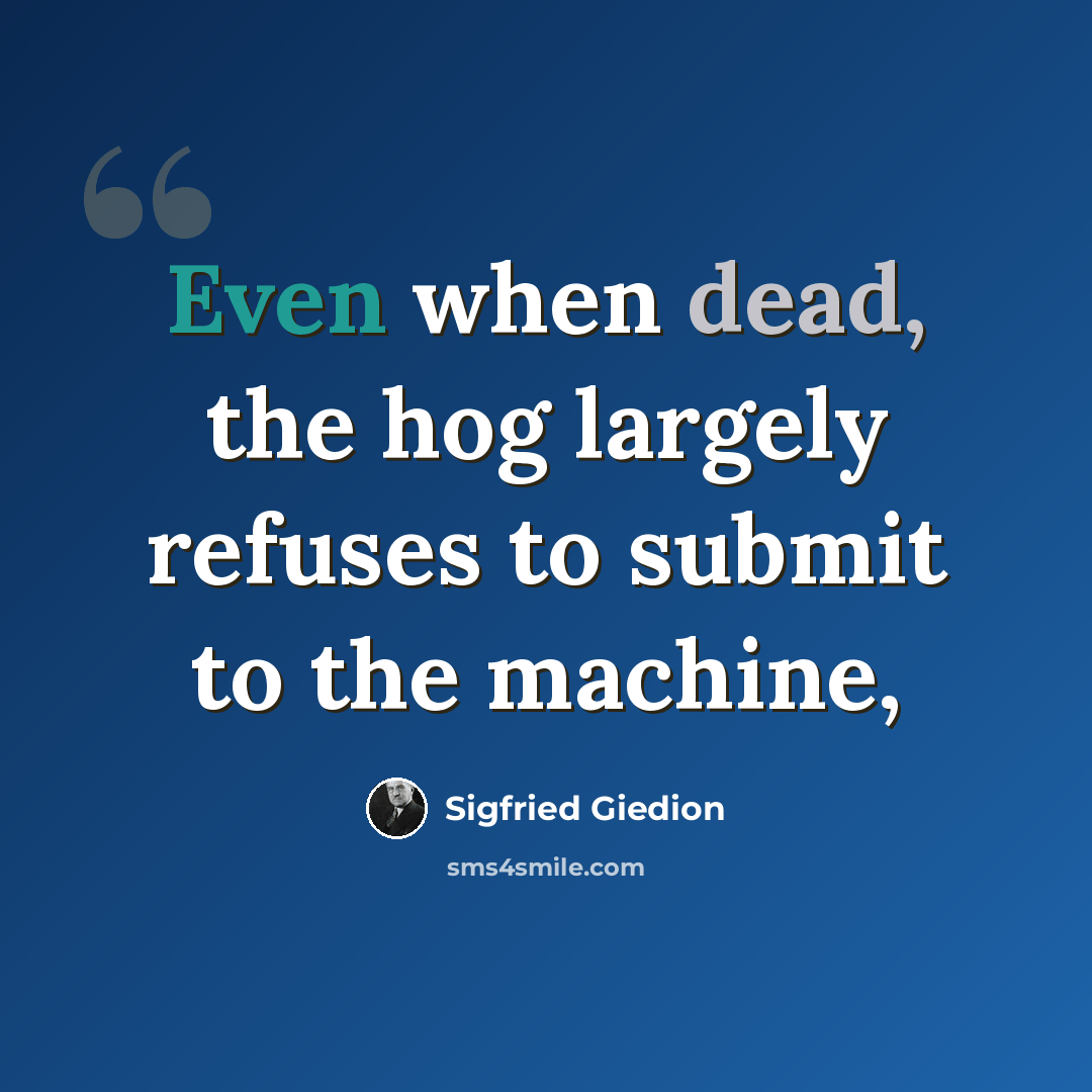 “Even when dead, the hog largely refuses to submit to the machine,” quote by Sigfried Giedion