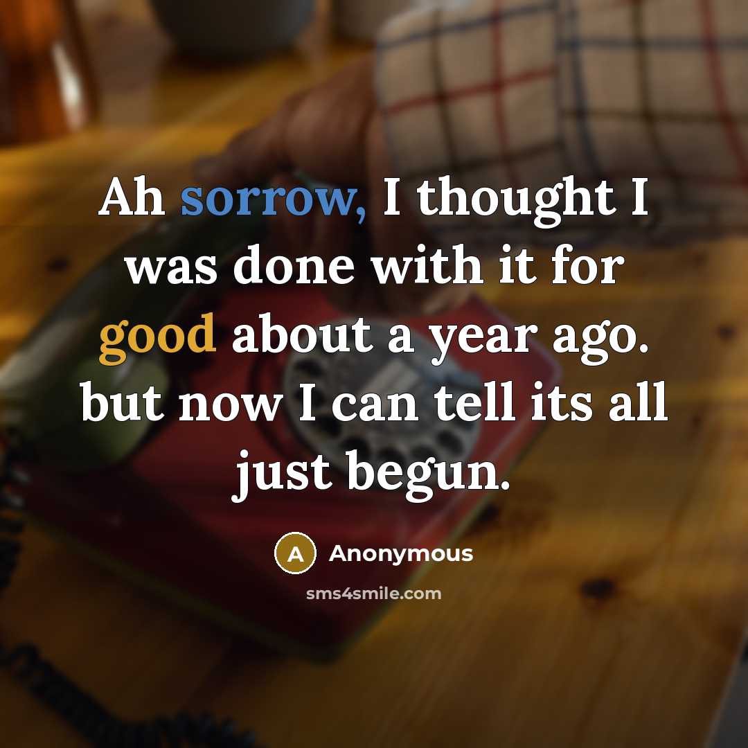 “Ah sorrow, I thought I was done with it for good about a year ago. but now I can tell its all just begun.” quote by Anonymous