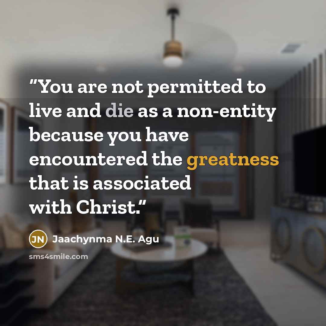 “You are not permitted to live and die as a non-entity because you have encountered the greatness that is associated with Christ.” quote by Jaachynma N.E. Agu