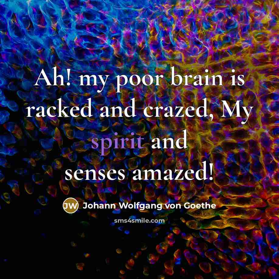 “Ah! my poor brain is racked and crazed, My spirit and senses amazed!” quote by Johann Wolfgang von Goethe