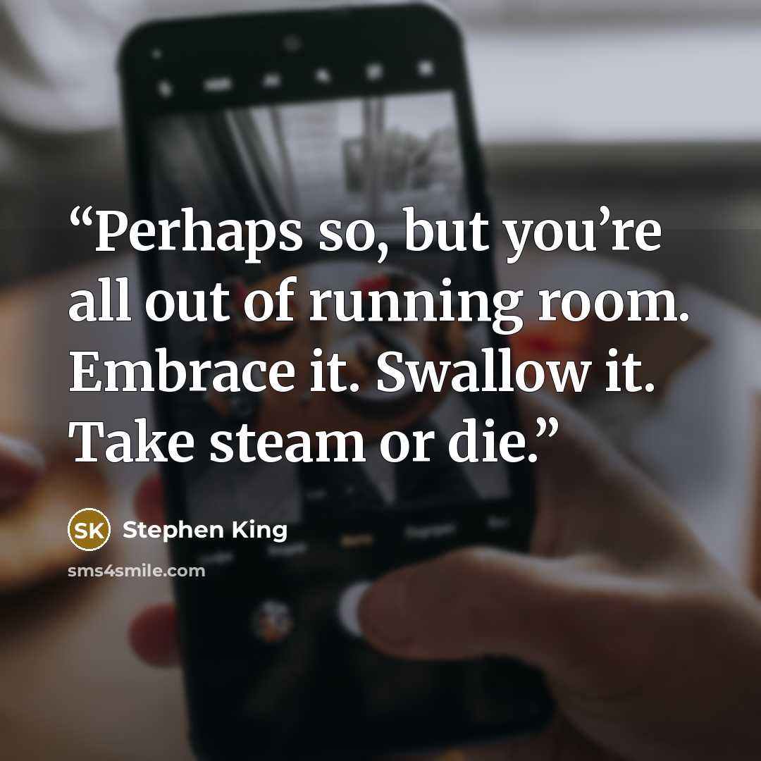“Perhaps so, but you’re all out of running room. Embrace it. Swallow it. Take steam or die.” quote by Stephen King