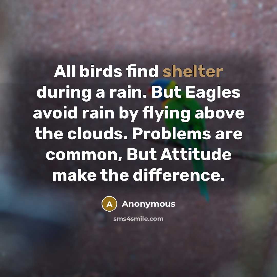 “All birds find shelter during a rain. But Eagles avoid rain by flying above the clouds. Problems are common, But Attitude make the difference.” quote by Anonymous