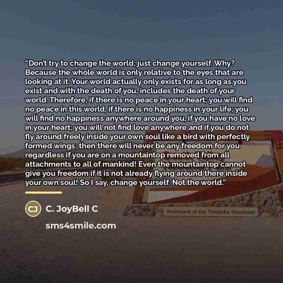 “Don’t try to change the world; just change yourself. Why? Because the whole world is only relative to the eyes that are looking at it. Your world actually only exists for as long as you exist and with the death of you, includes the death of your world. Therefore, if there is no peace in your…” quote by C. JoyBell C