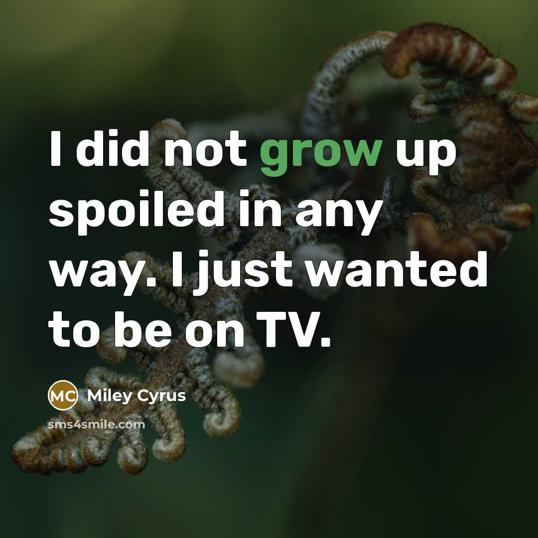 “I did not grow up spoiled in any way. I just wanted to be on TV.” quote by Miley Cyrus