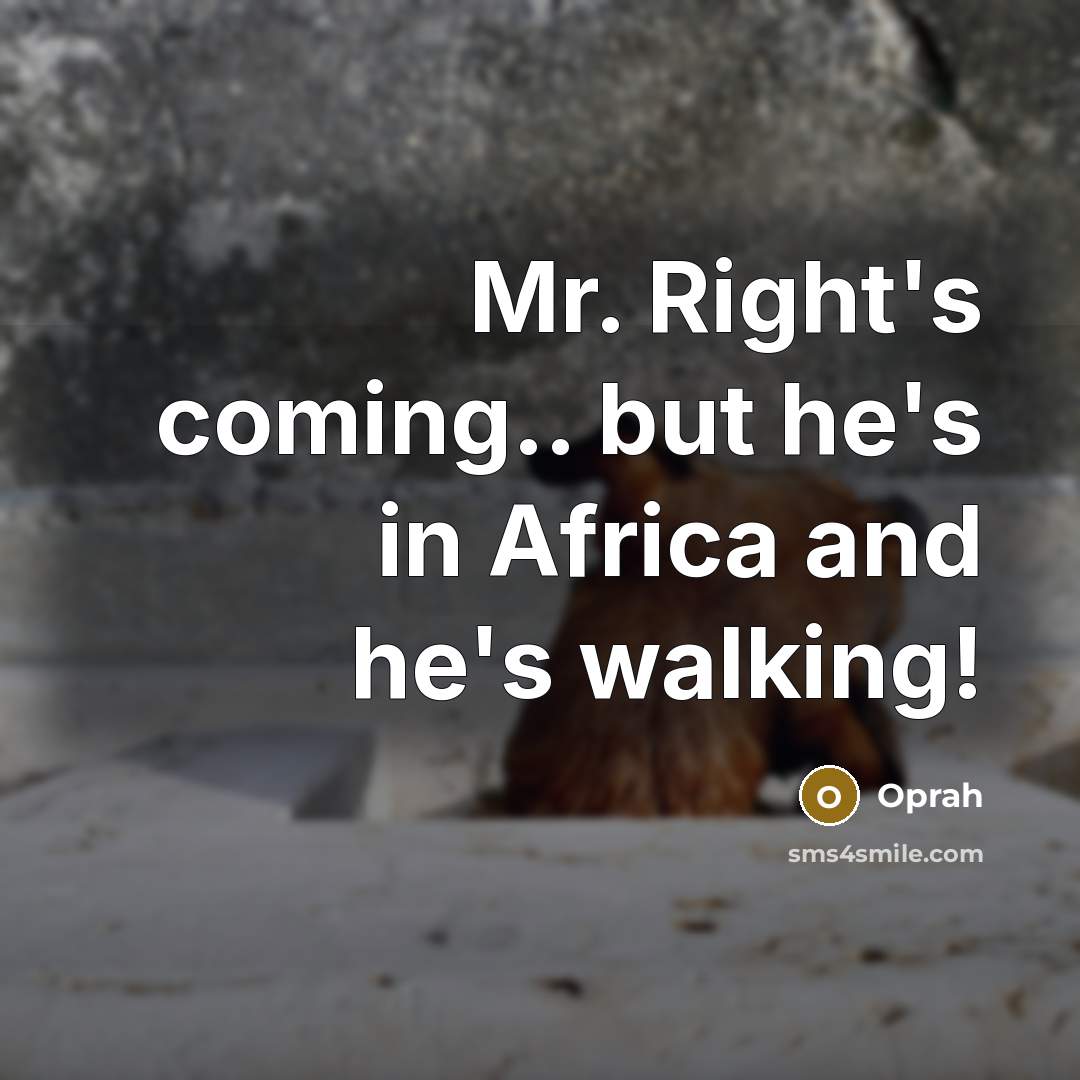 “Mr. Right's coming.. but he's in Africa and he's walking!” quote by Oprah