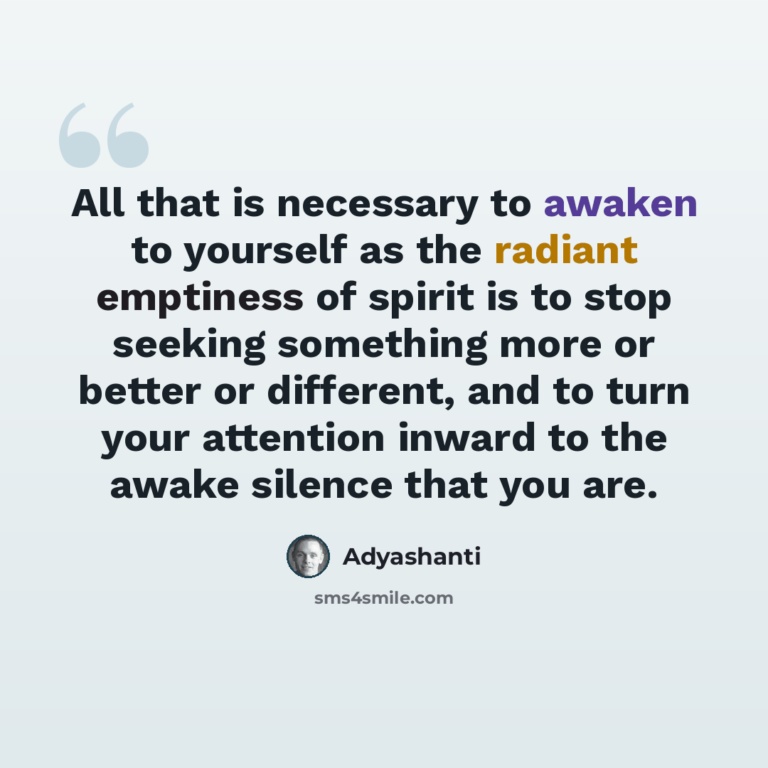 “All that is necessary to awaken to yourself as the radiant emptiness of spirit is to stop seeking something more or better or different, and to turn your attention inward to the awake silence that you are.” quote by Adyashanti