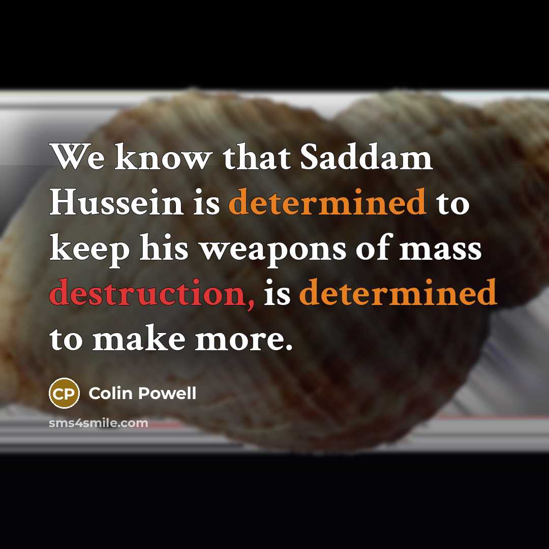 “We know that Saddam Hussein is determined to keep his weapons of mass destruction, is determined to make more.” quote by Colin Powell
