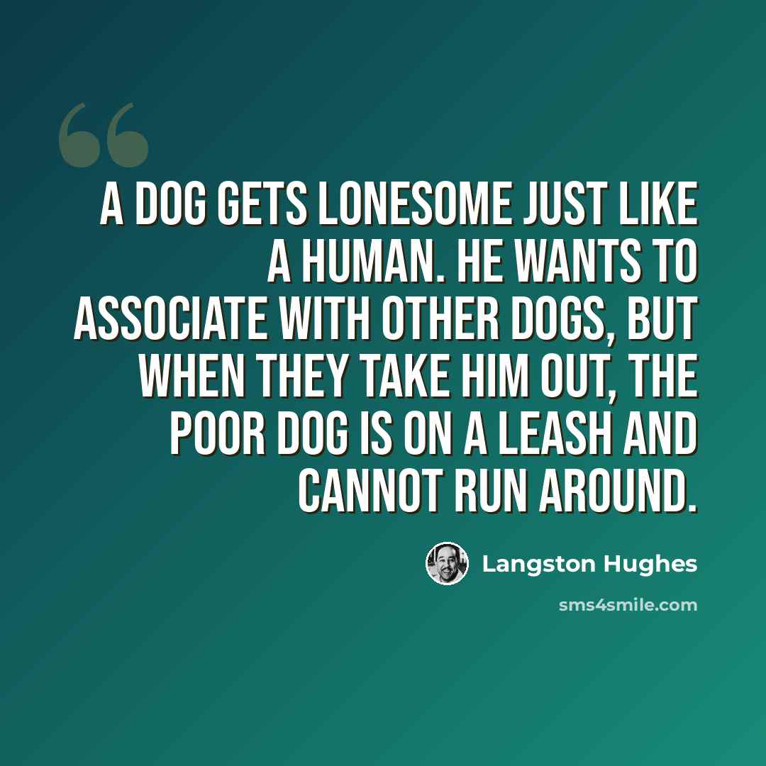 “A dog gets lonesome just like a human. He wants to associate with other dogs, but when they take him out, the poor dog is on a leash and cannot run around.” quote by Langston Hughes