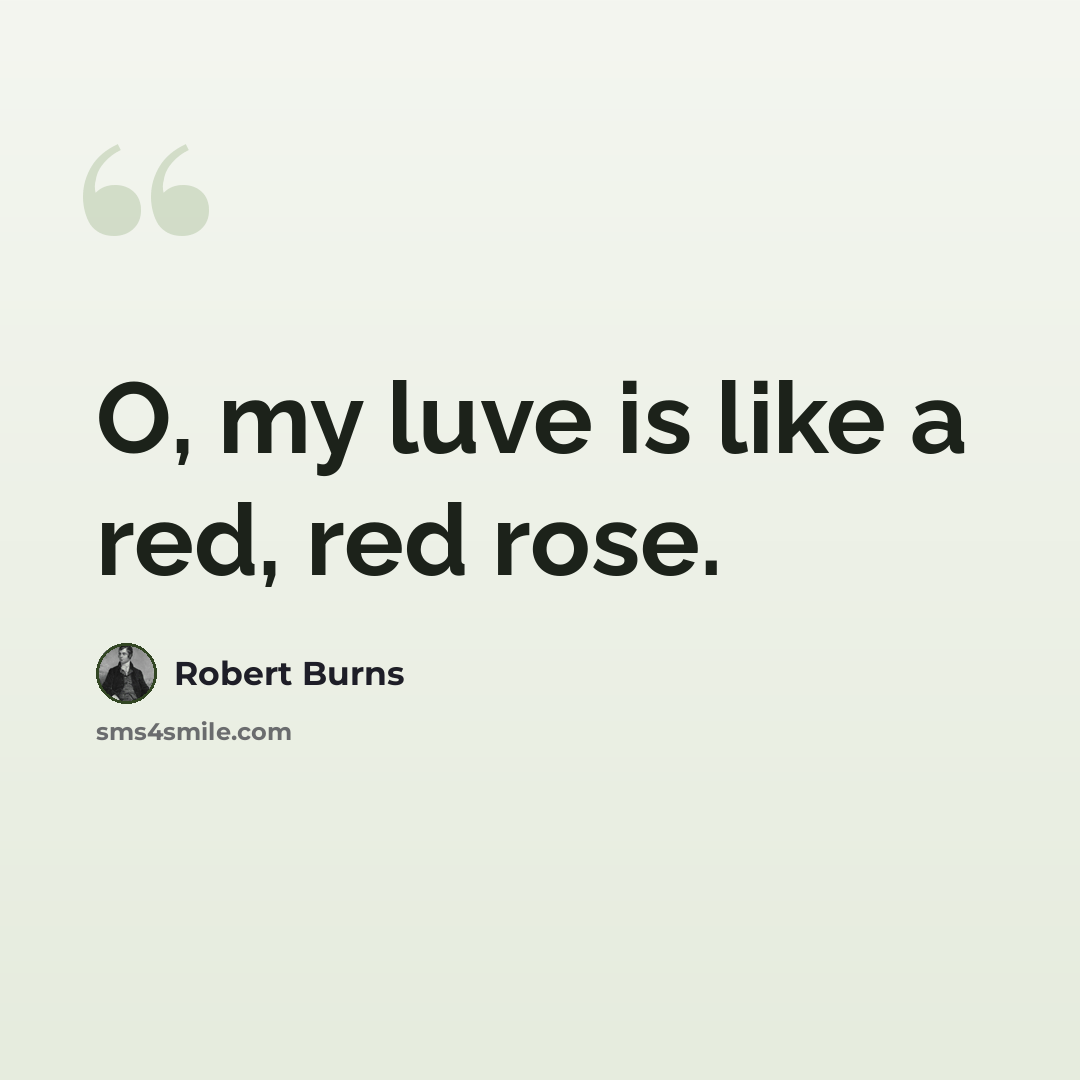 “O, my luve is like a red, red rose.” quote by Robert Burns