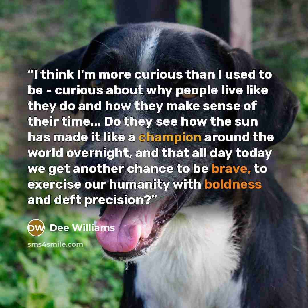 “I think I'm more curious than I used to be - curious about why people live like they do and how they make sense of their time... Do they see how the sun has made it like a champion around the world overnight, and that all day today we get another chance to be brave, to exercise our humanity with…” quote by Dee Williams