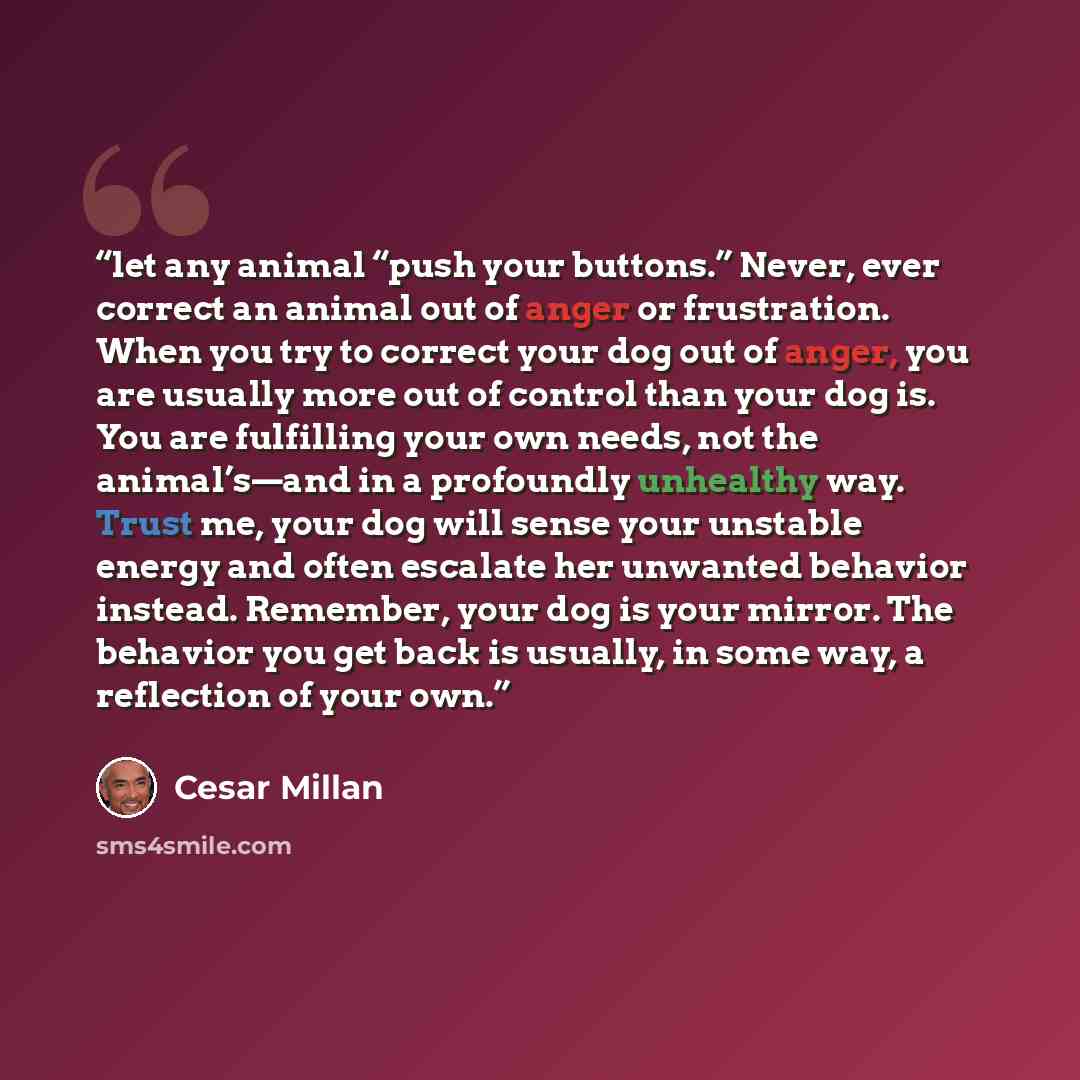 “let any animal “push your buttons.” Never, ever correct an animal out of anger or frustration. When you try to correct your dog out of anger, you are usually more out of control than your dog is. You are fulfilling your own needs, not the animal’s—and in a profoundly unhealthy way. Trust me, your…” quote by Cesar Millan