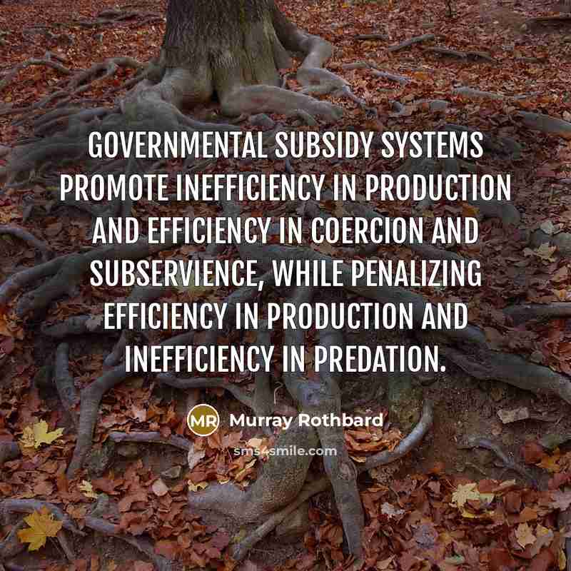 “Governmental subsidy systems promote inefficiency in production and efficiency in coercion and subservience, while penalizing efficiency in production and inefficiency in predation.” quote by Murray Rothbard