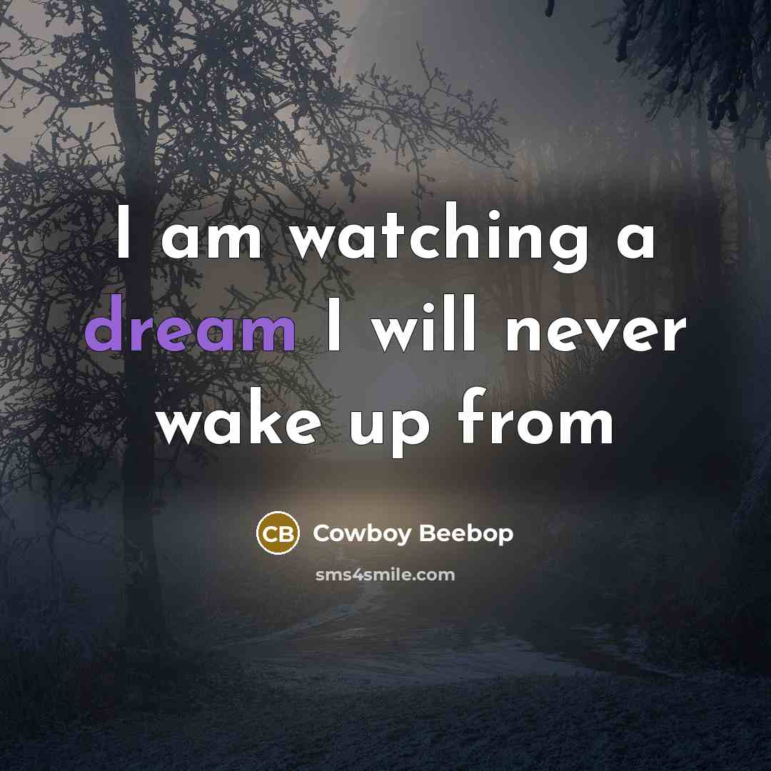 “I am watching a dream I will never wake up from” quote by Cowboy Beebop