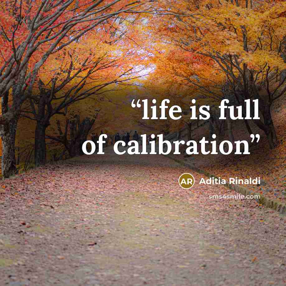 “life is full of calibration” quote by Aditia Rinaldi