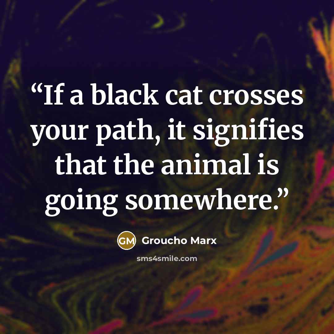 “If a black cat crosses your path, it signifies that the animal is going somewhere.” quote by Groucho marx
